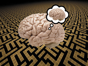 brain maze brain